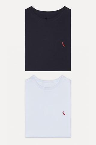 Kit 2 Camisetas Básicas Brasa Pica-pau Bordado