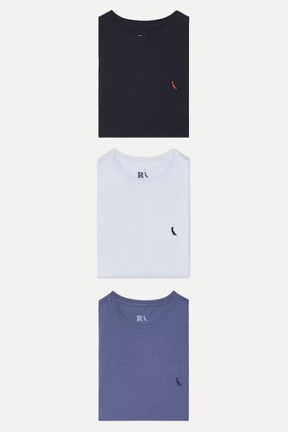 Kit 3 Camisetas Bordadas Brasa E Gota
